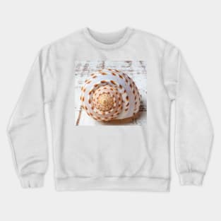 Natures Shell Design Crewneck Sweatshirt